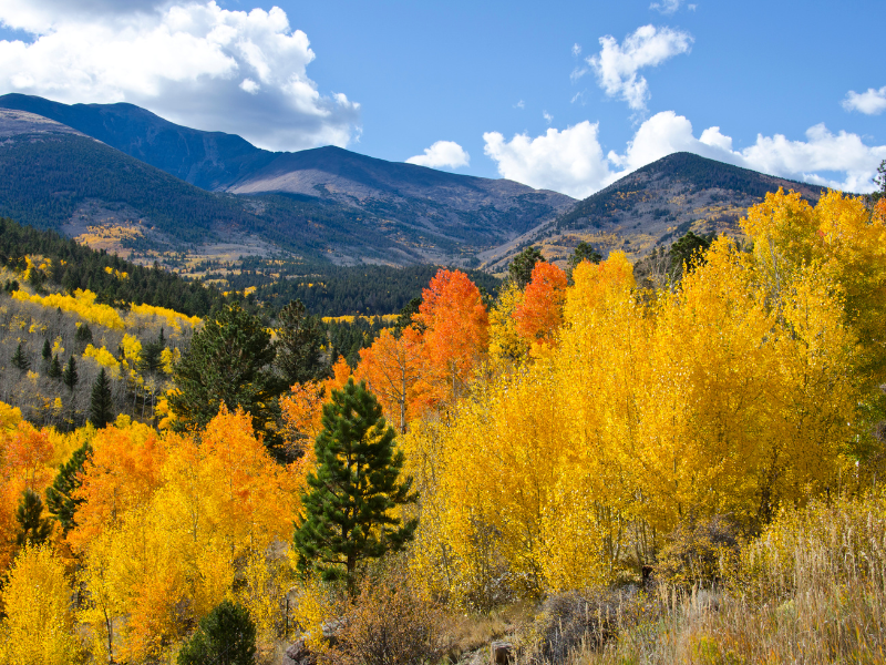 Choose Your Photography - Autumn Colours – Colorado Photo Tours
