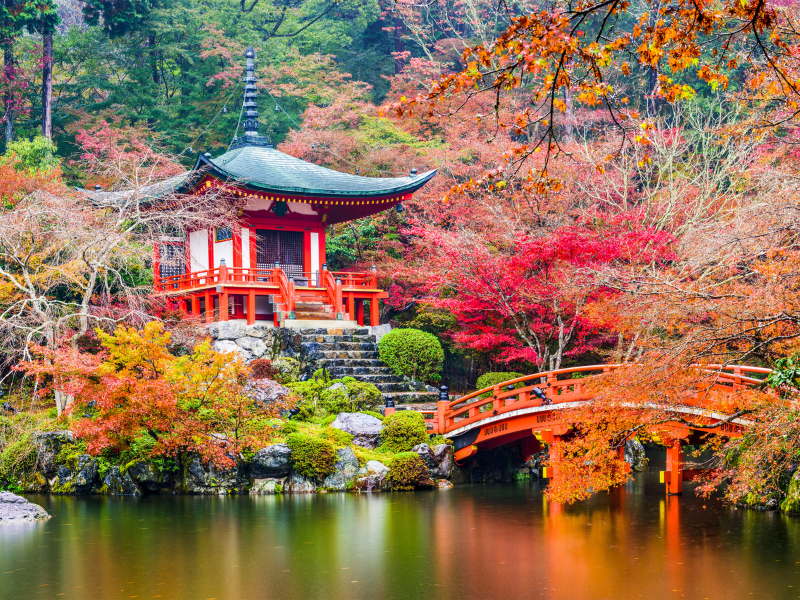 Choose Your Photography - Fall Colours– Japan Autumn Photography Tour