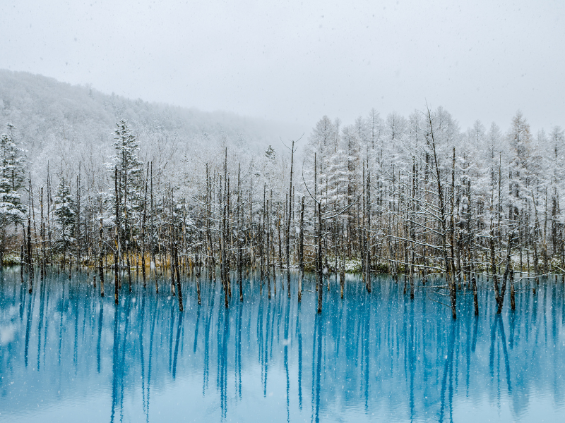 Choose Your Photography - Hokkaido in Winter - Japan Photo Tour
